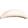   TROUT BAIT Maggot 30 , : 3,0, : 1 (white),   12 , 